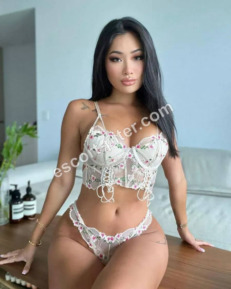 STELLA